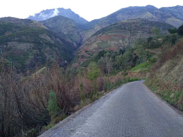 东川森林公园旅行图片 1