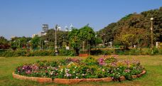 空中花园-孟买-湖绿紫