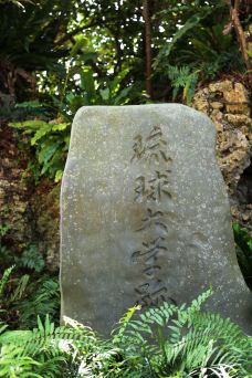 首里城-那霸-doris圈圈