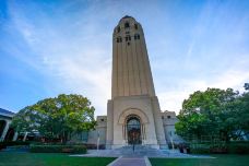 斯坦福大学-斯坦福-doris圈圈