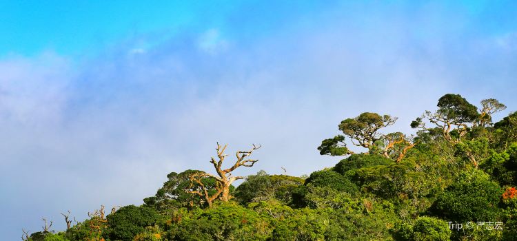 Horton Plains National Park Travel Guidebook Must Visit