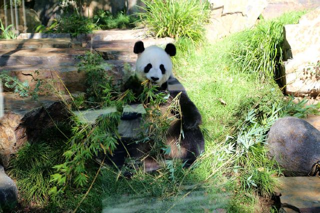 Adelaide Zoo