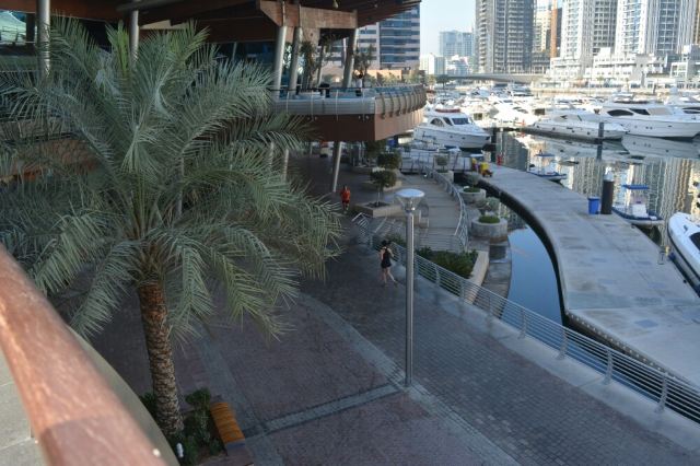Dubai Marina Yacht Club