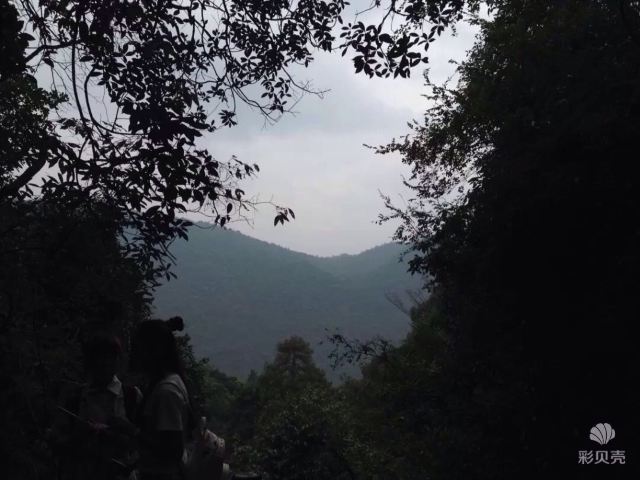첸다오후 삼림산소방(천도호 삼림양파)