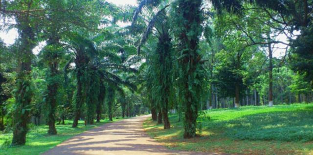 Jinniuling Park