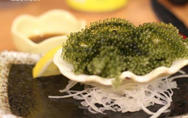 海葡萄