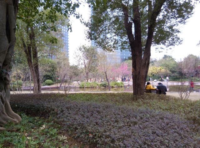 New Urban Zhujiang