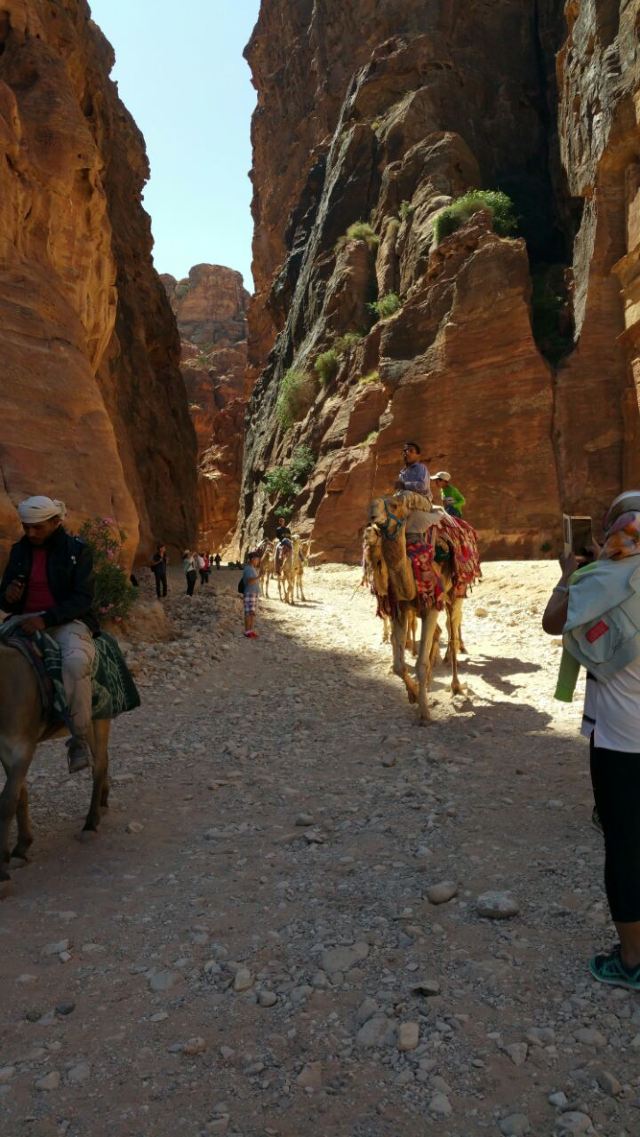 Siq