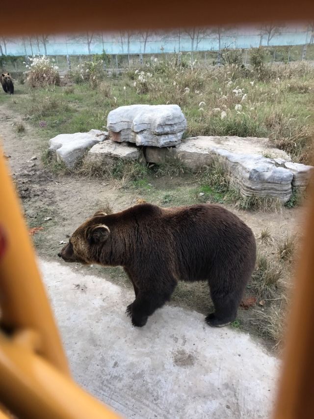 상하이 야생 동물원