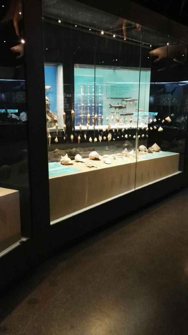 Tianjin Natural History Museum