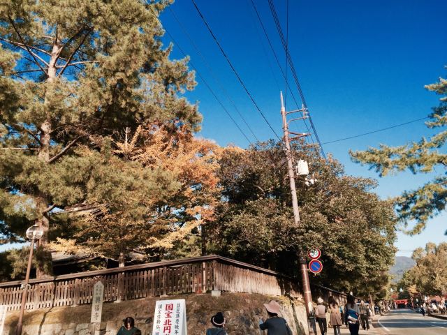 Get For Android Wallpaper Desktop Wallpaper