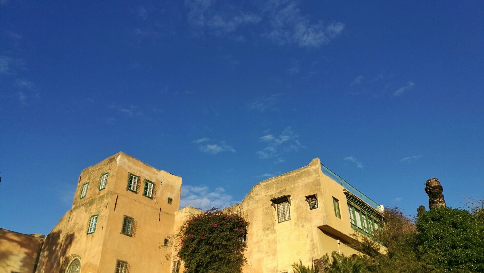 非洲最北端的蓝白小镇 暮光倾城  #突尼斯拍拍之旅