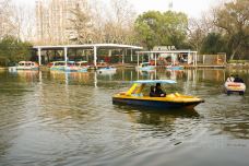 鲁迅公园-上海-doris圈圈