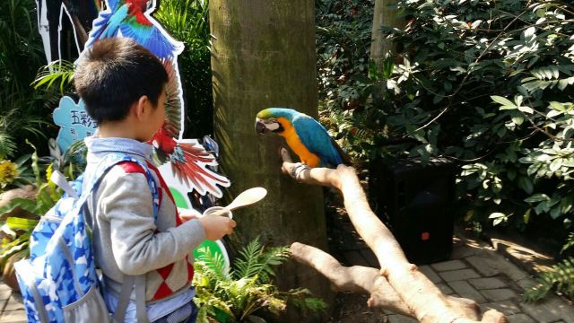 Chimelong Bird Park