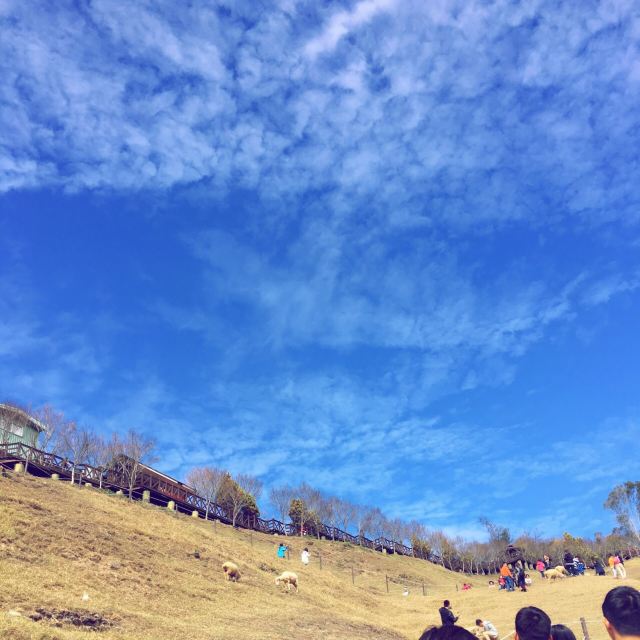 칭칭초원