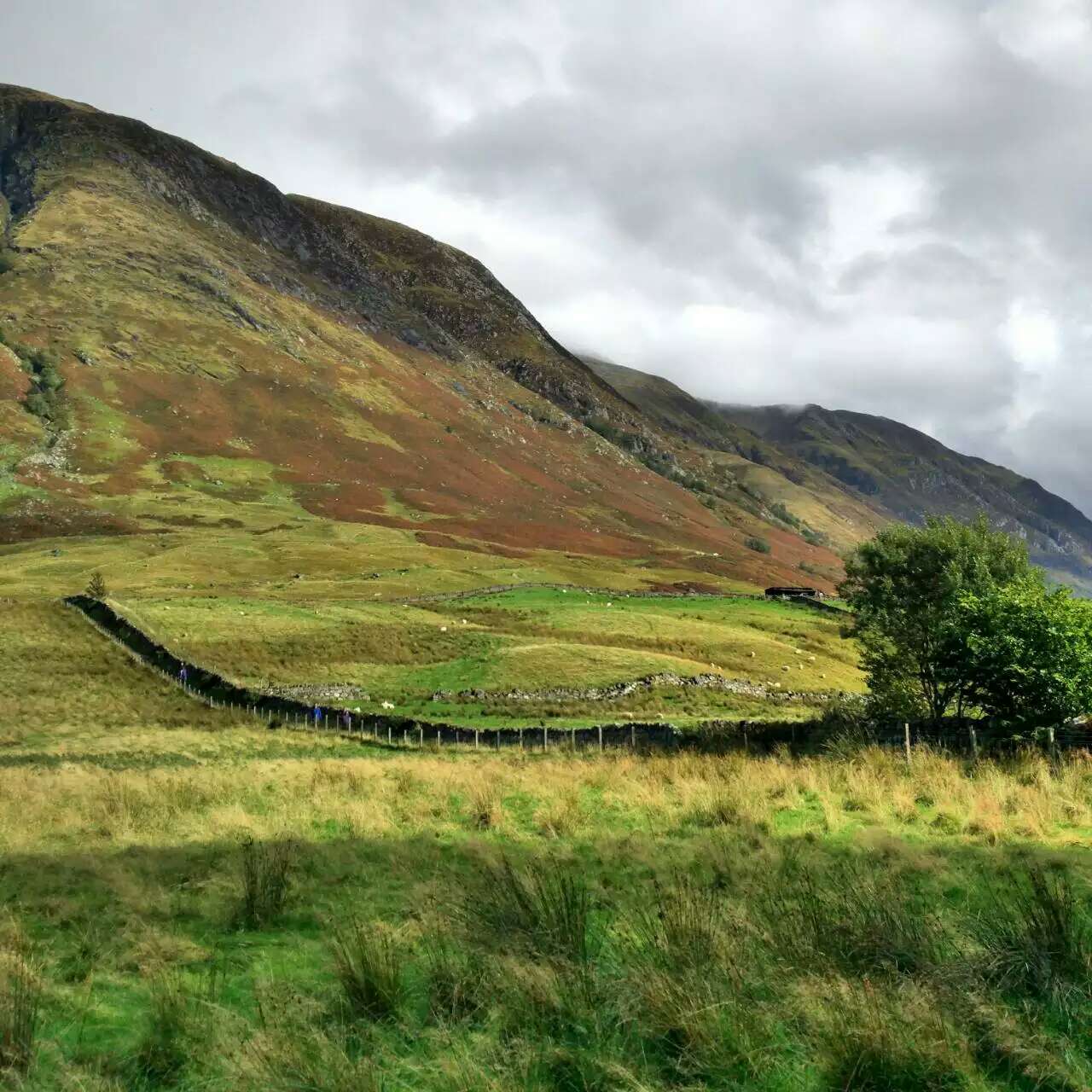Ben Nevis Inn餐厅图片