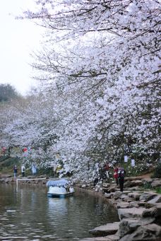 湖南省植物园-长沙-doris圈圈