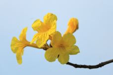 剑英公园-梅州-懟懟