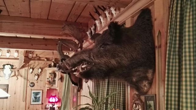 Hotel Restaurant Pfaff