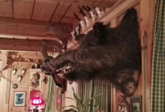 Hotel Restaurant Pfaff美食图片