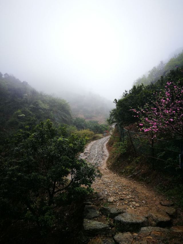 팡자허터우춘