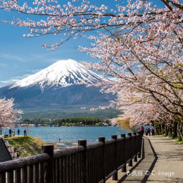 日本大阪+京都+富士山+东京7日6晚拼小团