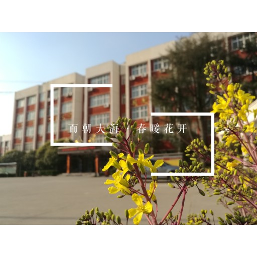 濮阳市油田第三高级中学。。