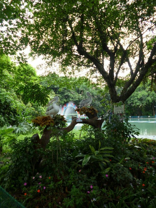 Chimelong Bird Park