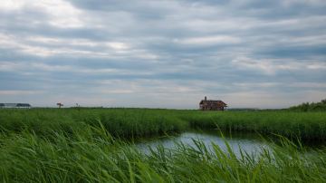 shutterstock_163239278