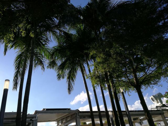 Marina Bay Sands
