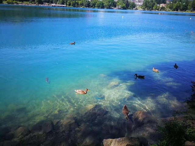 Lake Bled