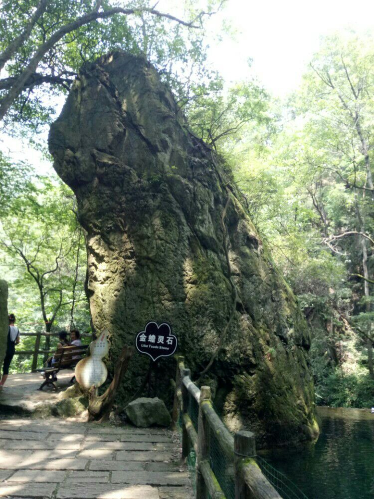 西峡太清谷和恐龙园