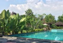 Amata Resto美食图片