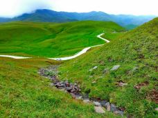 大海草山-会泽-YoYo_8F7A4K1J