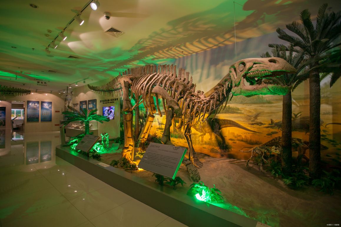 Gallery 2
