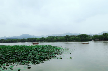 Gallery 3