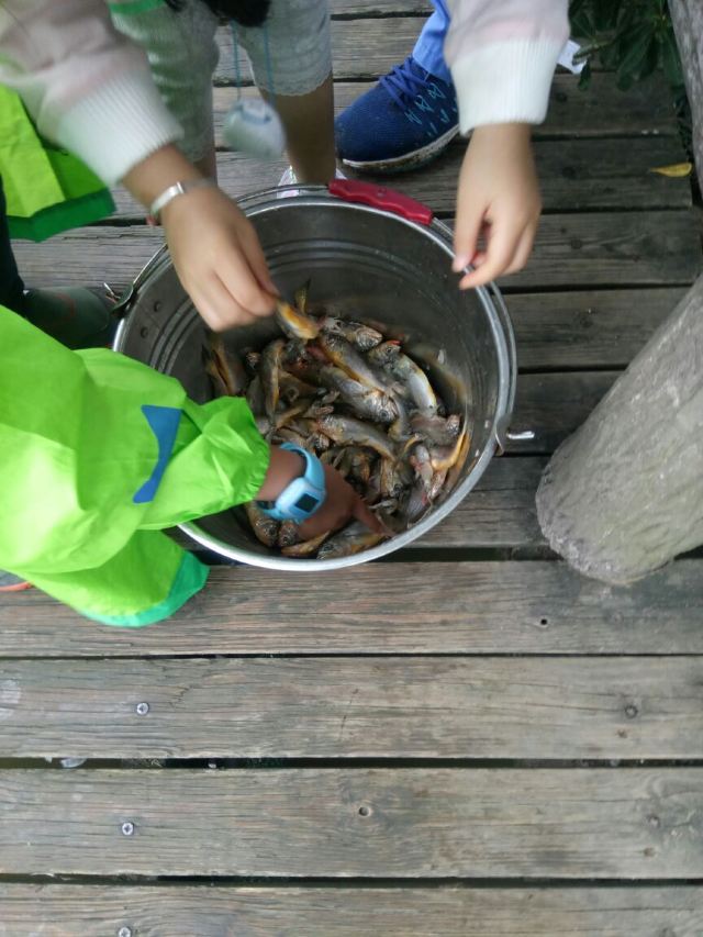 상하이 야생 동물원