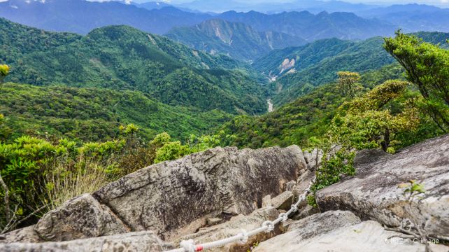 大雪山国家森林游乐区