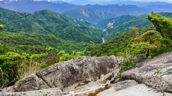 大雪山國家森林遊樂區