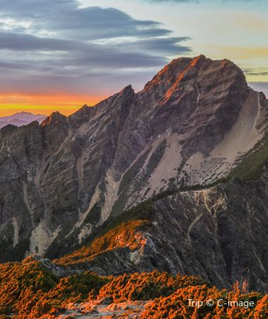 5天4晚 • 「EGL山系之旅」阿里山 南投合歡山 台灣百岳縱走巡禮 森林健行