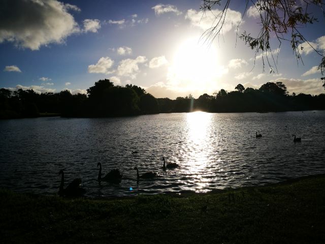 Western Springs Lakeside Park