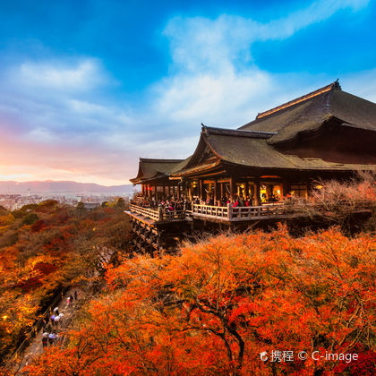 日本京都府京都清水寺+伏见稻荷大社+春日大社+八坂神社+奈良公园一日游