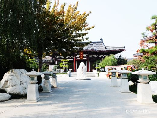 芙蓉园