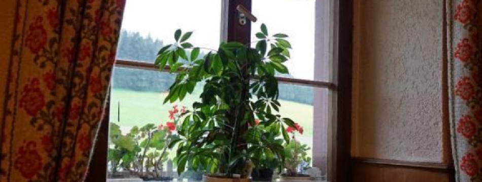 Gasthaus Bauernhof Pension Schneckenhof