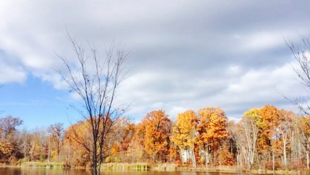 John Fazio Farm Market & BBQ
