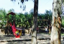 Osalla Beach Garden美食图片