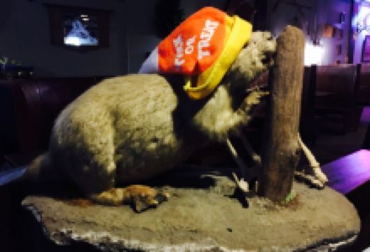 Angry Beaver Lodge美食图片