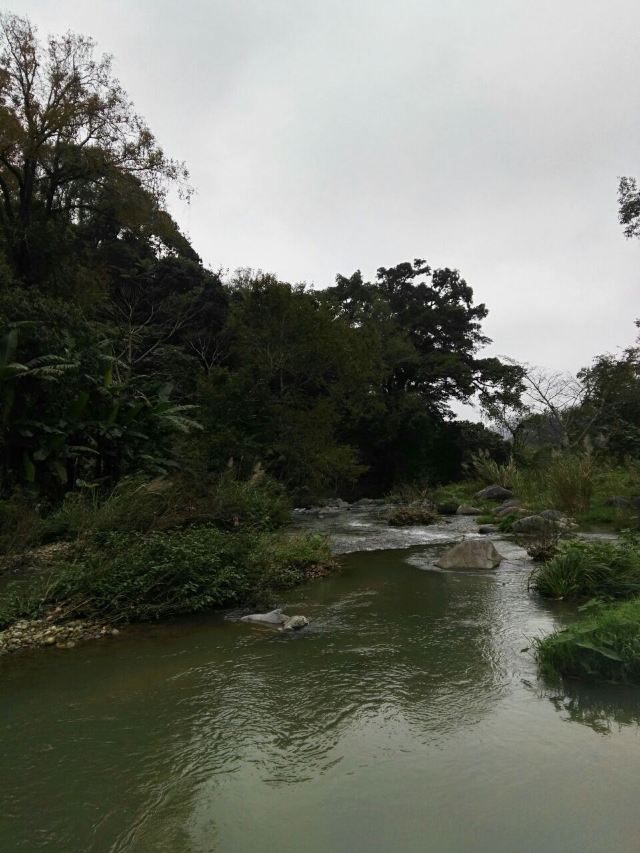 Wuzhishan Tropical Rainforest