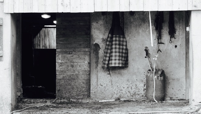 Ferme Auberge du Lys Blanc餐厅图片