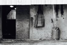 Ferme Auberge du Lys Blanc美食图片